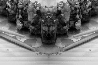 Illustration for article titled Shooting Challenge Rorschach Gallery